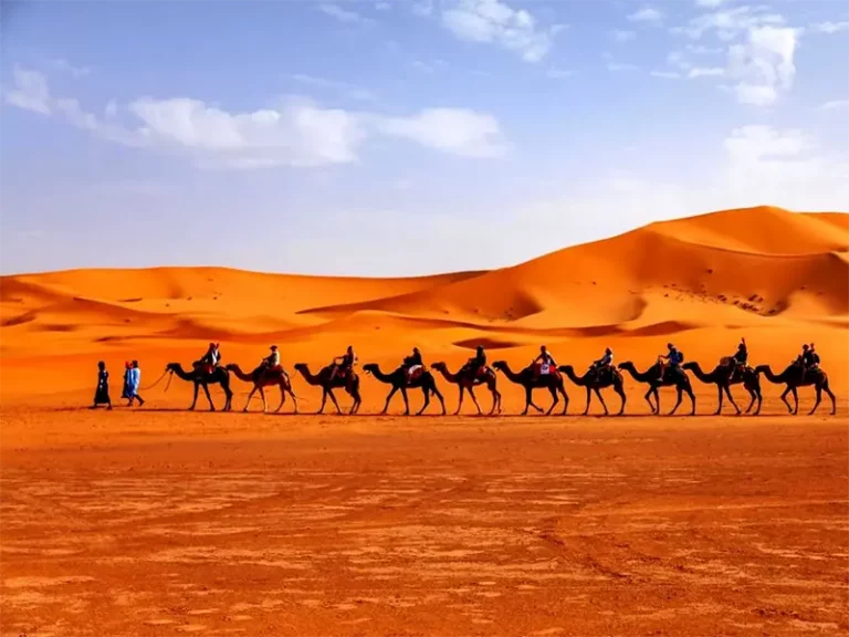 Camel-trekking-in-Merzouga-w